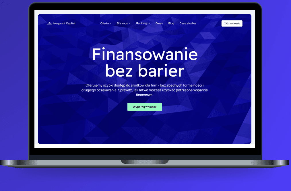 Horyzont Capital case study